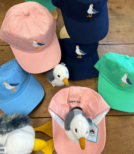 Cape Cod Baseball Cap