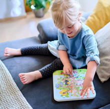 Load image into Gallery viewer, Orchard Maze Magnetic Sorting Game
