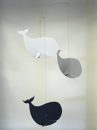 Whale Mobile