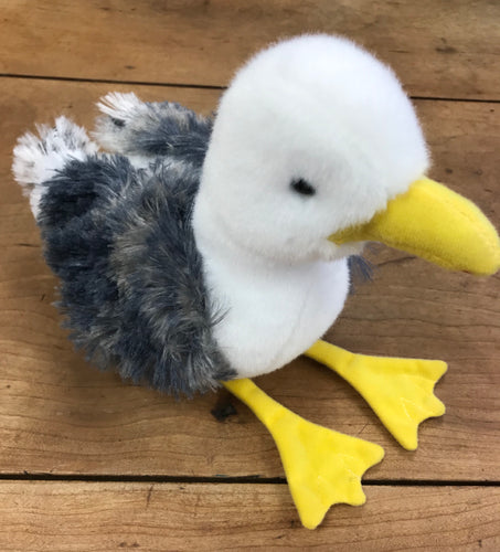 Seagull